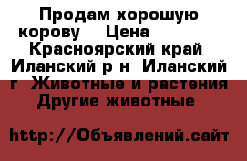 Продам хорошую корову. › Цена ­ 50 000 - Красноярский край, Иланский р-н, Иланский г. Животные и растения » Другие животные   